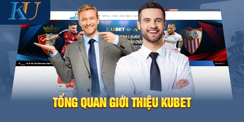 Những thông tin có thể hữu ích cho người dùng